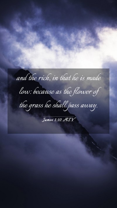 Picture 03 - James 1:10 ASV Mobile Phone Wallpaper - and the rich, in that he is made low: because as - Mobile Bible Verse Wallpaper