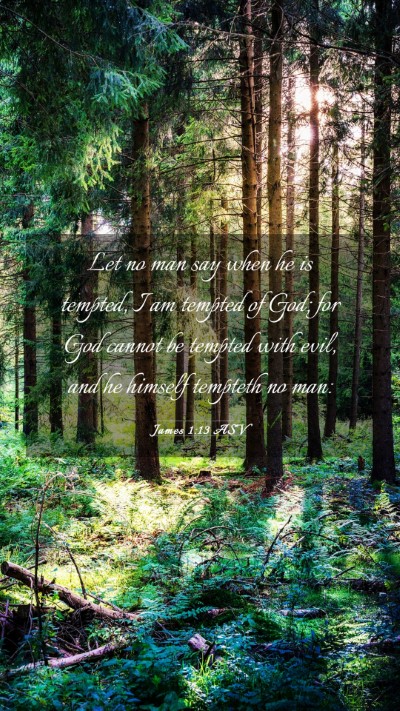 Picture 03 - James 1:13 ASV Mobile Phone Wallpaper - Let no man say when he is tempted, I am tempted - Mobile Bible Verse Wallpaper