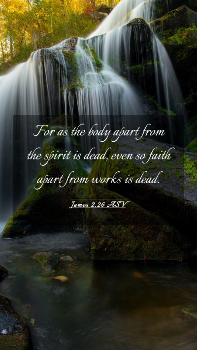Picture 03 - James 2:26 ASV Mobile Phone Wallpaper - For as the body apart from the spirit is dead, - Mobile Bible Verse Wallpaper