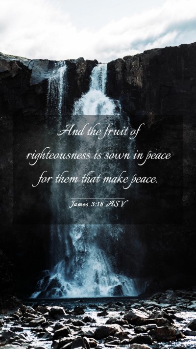 Picture 03 - James 3:18 ASV Mobile Phone Wallpaper - And the fruit of righteousness is sown in peace - Mobile Bible Verse Wallpaper