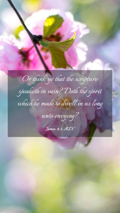 Picture 03 - James 4:5 ASV Mobile Phone Wallpaper - Or think ye that the scripture speaketh in vain? - Mobile Bible Verse Wallpaper