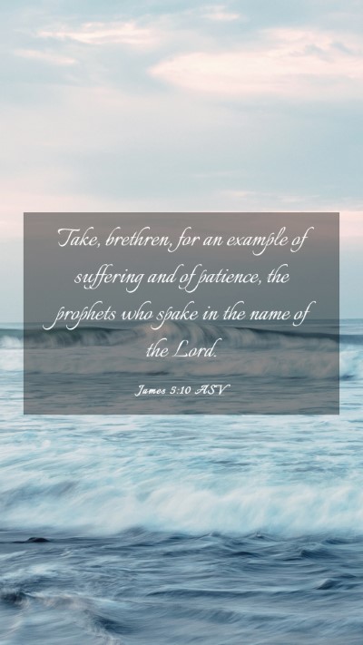Picture 03 - James 5:10 ASV Mobile Phone Wallpaper - Take, brethren, for an example of suffering and - Mobile Bible Verse Wallpaper