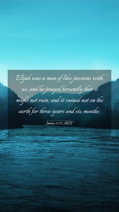 Picture 03 - James 5:17 ASV Mobile Phone Wallpaper - Elijah was a man of like passions with us, and he - Mobile Bible Verse Wallpaper