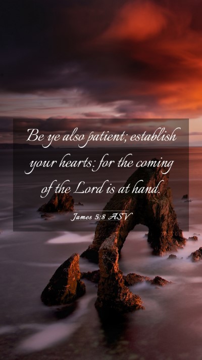 Picture 03 - James 5:8 ASV Mobile Phone Wallpaper - Be ye also patient; establish your hearts: for - Mobile Bible Verse Wallpaper