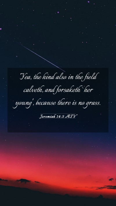 Picture 03 - Jeremiah 14:5 ASV Mobile Phone Wallpaper - Yea, the hind also in the field calveth, and - Mobile Bible Verse Wallpaper