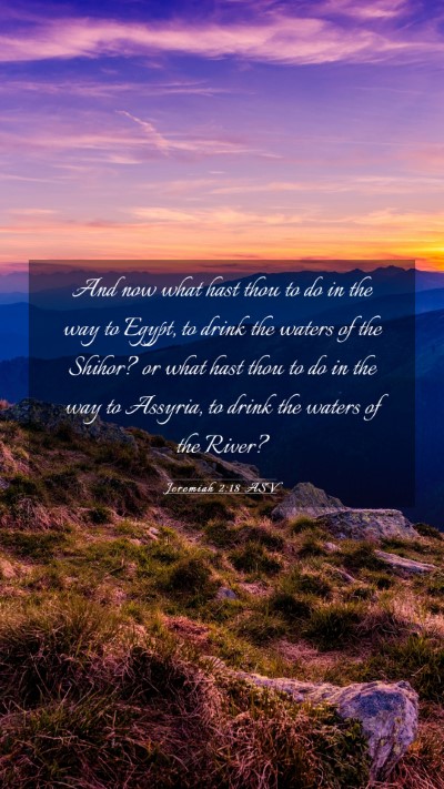Picture 03 - Jeremiah 2:18 ASV Mobile Phone Wallpaper - And now what hast thou to do in the way to Egypt, - Mobile Bible Verse Wallpaper