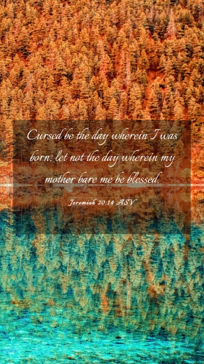 Picture 03 - Jeremiah 20:14 ASV Mobile Phone Wallpaper - Cursed be the day wherein I was born: let not the - Mobile Bible Verse Wallpaper