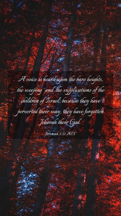 Picture 03 - Jeremiah 3:21 ASV Mobile Phone Wallpaper - A voice is heard upon the bare heights, the - Mobile Bible Verse Wallpaper