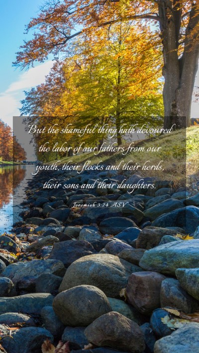 Picture 03 - Jeremiah 3:24 ASV Mobile Phone Wallpaper - But the shameful thing hath devoured the labor of - Mobile Bible Verse Wallpaper