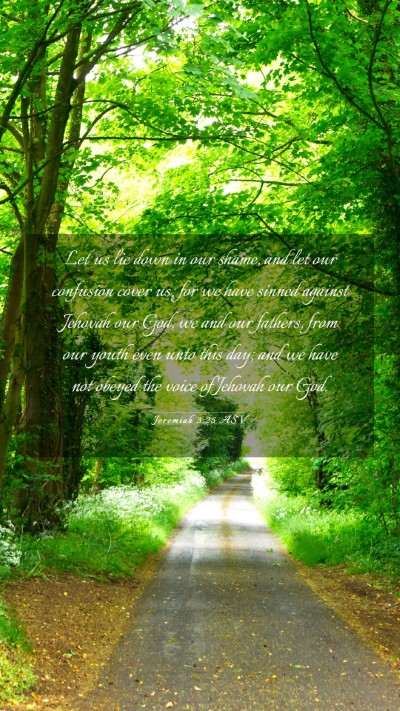 Picture 03 - Jeremiah 3:25 ASV Mobile Phone Wallpaper - Let us lie down in our shame, and let our - Mobile Bible Verse Wallpaper