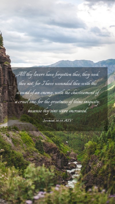 Picture 03 - Jeremiah 30:14 ASV Mobile Phone Wallpaper - All thy lovers have forgotten thee; they seek - Mobile Bible Verse Wallpaper