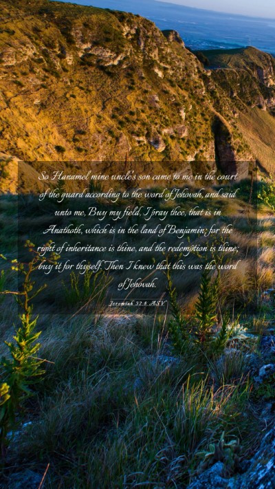 Picture 03 - Jeremiah 32:8 ASV Mobile Phone Wallpaper - So Hanamel mine uncle's son came to me in the - Mobile Bible Verse Wallpaper