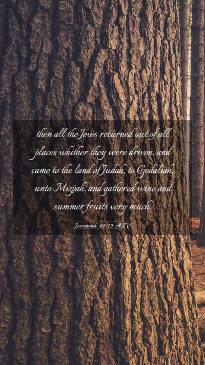 Picture 03 - Jeremiah 40:12 ASV Mobile Phone Wallpaper - then all the Jews returned out of all places - Mobile Bible Verse Wallpaper