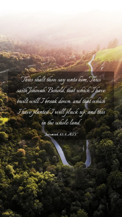 Picture 03 - Jeremiah 45:4 ASV Mobile Phone Wallpaper - Thus shalt thou say unto him, Thus saith Jehovah: - Mobile Bible Verse Wallpaper