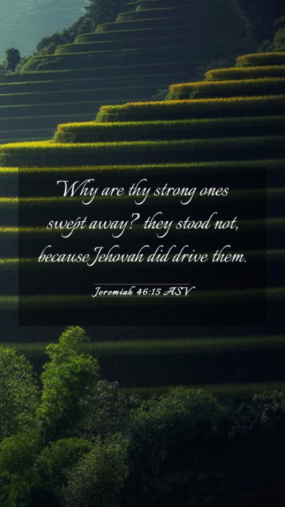 Picture 03 - Jeremiah 46:15 ASV Mobile Phone Wallpaper - Why are thy strong ones swept away? they stood - Mobile Bible Verse Wallpaper