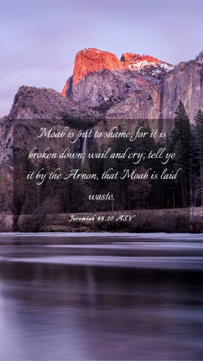 Picture 03 - Jeremiah 48:20 ASV Mobile Phone Wallpaper - Moab is put to shame; for it is broken down: wail - Mobile Bible Verse Wallpaper