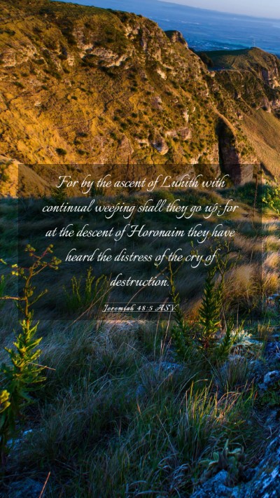 Picture 03 - Jeremiah 48:5 ASV Mobile Phone Wallpaper - For by the ascent of Luhith with continual - Mobile Bible Verse Wallpaper