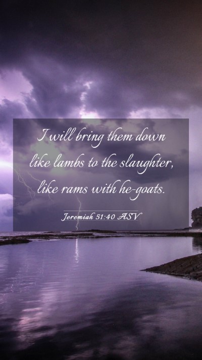 Picture 03 - Jeremiah 51:40 ASV Mobile Phone Wallpaper - I will bring them down like lambs to the - Mobile Bible Verse Wallpaper