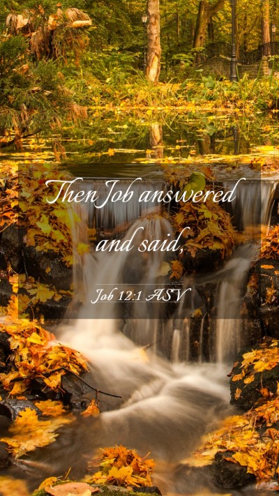 Picture 03 - Job 12:1 ASV Mobile Phone Wallpaper - Then Job answered and - Mobile Bible Verse Wallpaper