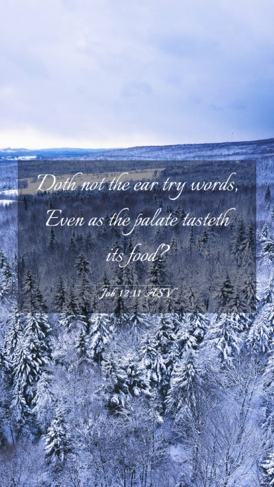 Picture 03 - Job 12:11 ASV Mobile Phone Wallpaper - Doth not the ear try words, Even as the palate - Mobile Bible Verse Wallpaper