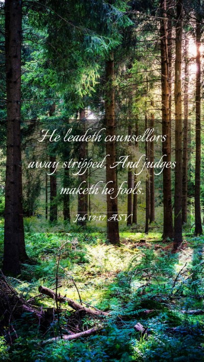 Picture 03 - Job 12:17 ASV Mobile Phone Wallpaper - He leadeth counsellors away stripped, And judges - Mobile Bible Verse Wallpaper