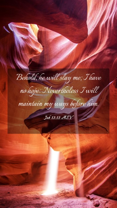 Picture 03 - Job 13:15 ASV Mobile Phone Wallpaper - Behold, he will slay me; I have no hope: - Mobile Bible Verse Wallpaper