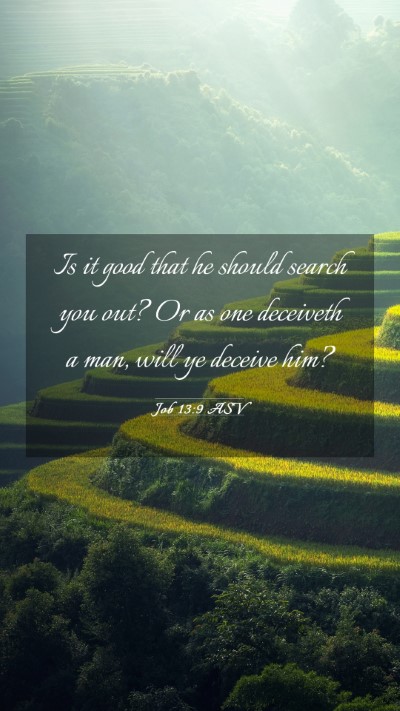 Picture 03 - Job 13:9 ASV Mobile Phone Wallpaper - Is it good that he should search you out? Or as - Mobile Bible Verse Wallpaper