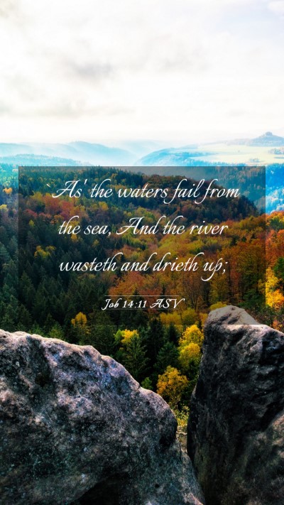 Picture 03 - Job 14:11 ASV Mobile Phone Wallpaper - `As' the waters fail from the sea, And the river - Mobile Bible Verse Wallpaper