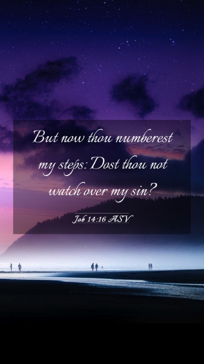Picture 03 - Job 14:16 ASV Mobile Phone Wallpaper - But now thou numberest my steps: Dost thou not - Mobile Bible Verse Wallpaper