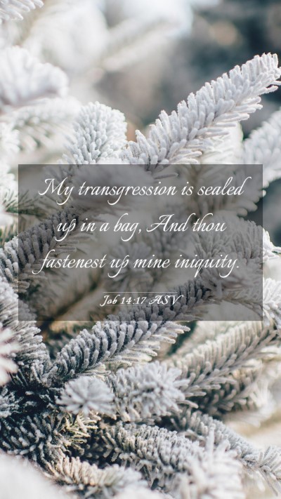Picture 03 - Job 14:17 ASV Mobile Phone Wallpaper - My transgression is sealed up in a bag, And thou - Mobile Bible Verse Wallpaper