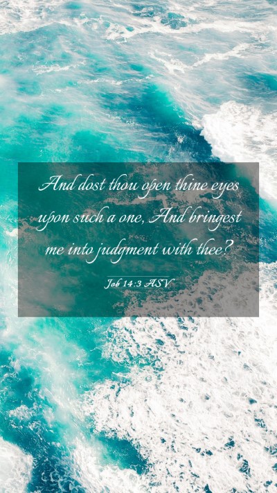 Picture 03 - Job 14:3 ASV Mobile Phone Wallpaper - And dost thou open thine eyes upon such a one, - Mobile Bible Verse Wallpaper