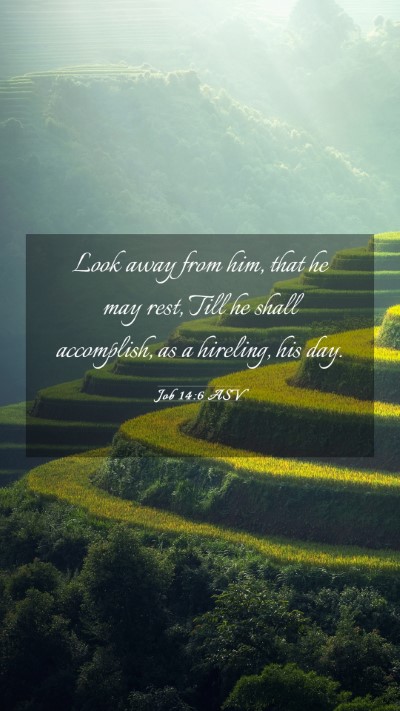 Picture 03 - Job 14:6 ASV Mobile Phone Wallpaper - Look away from him, that he may rest, Till he - Mobile Bible Verse Wallpaper