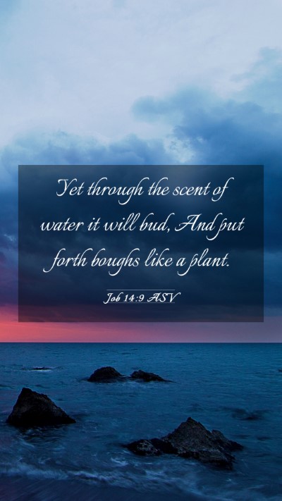 Picture 03 - Job 14:9 ASV Mobile Phone Wallpaper - Yet through the scent of water it will bud, And - Mobile Bible Verse Wallpaper