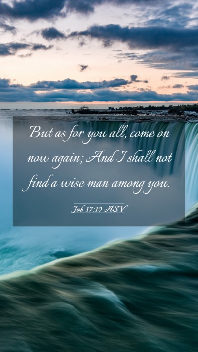 Picture 03 - Job 17:10 ASV Mobile Phone Wallpaper - But as for you all, come on now again; And I - Mobile Bible Verse Wallpaper