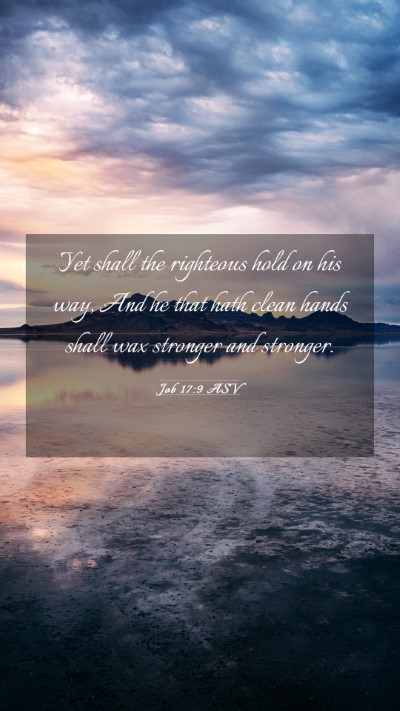 Picture 03 - Job 17:9 ASV Mobile Phone Wallpaper - Yet shall the righteous hold on his way, And he - Mobile Bible Verse Wallpaper