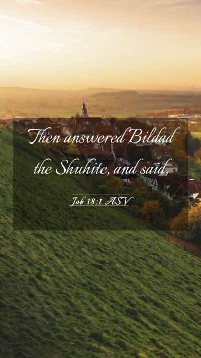 Picture 03 - Job 18:1 ASV Mobile Phone Wallpaper - Then answered Bildad the Shuhite, and - Mobile Bible Verse Wallpaper