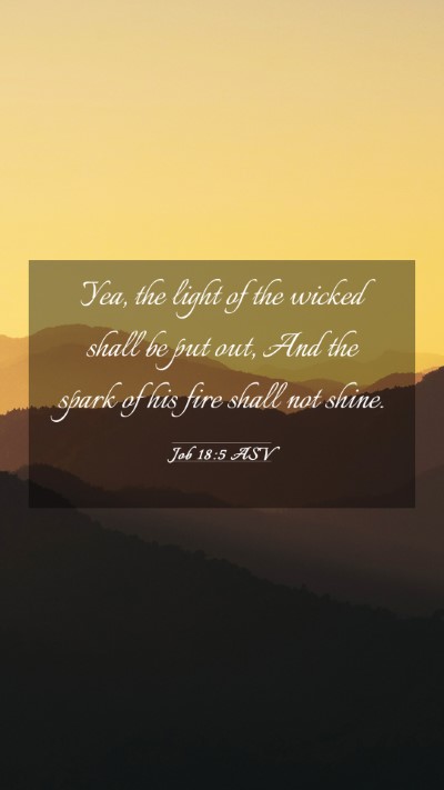 Picture 03 - Job 18:5 ASV Mobile Phone Wallpaper - Yea, the light of the wicked shall be put out, - Mobile Bible Verse Wallpaper