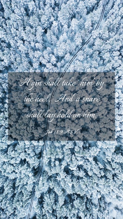 Picture 03 - Job 18:9 ASV Mobile Phone Wallpaper - A gin shall take `him' by the heel, `And' a snare - Mobile Bible Verse Wallpaper