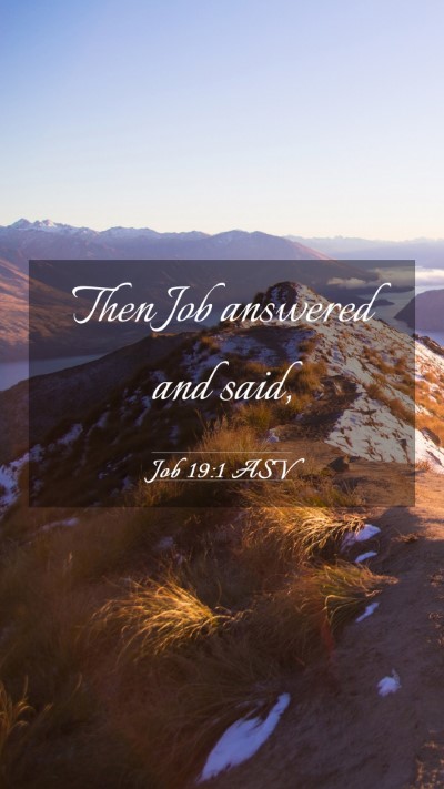 Picture 03 - Job 19:1 ASV Mobile Phone Wallpaper - Then Job answered and - Mobile Bible Verse Wallpaper