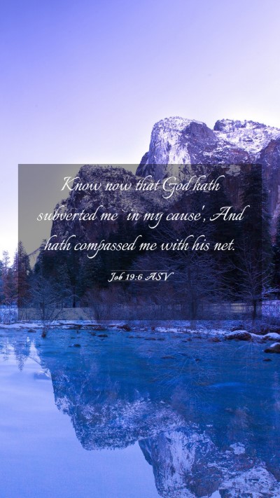 Picture 03 - Job 19:6 ASV Mobile Phone Wallpaper - Know now that God hath subverted me `in my - Mobile Bible Verse Wallpaper