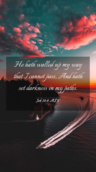 Picture 03 - Job 19:8 ASV Mobile Phone Wallpaper - He hath walled up my way that I cannot pass, And - Mobile Bible Verse Wallpaper