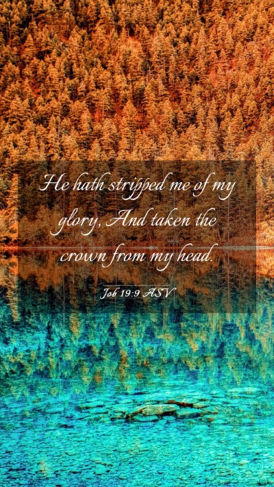 Picture 03 - Job 19:9 ASV Mobile Phone Wallpaper - He hath stripped me of my glory, And taken the - Mobile Bible Verse Wallpaper