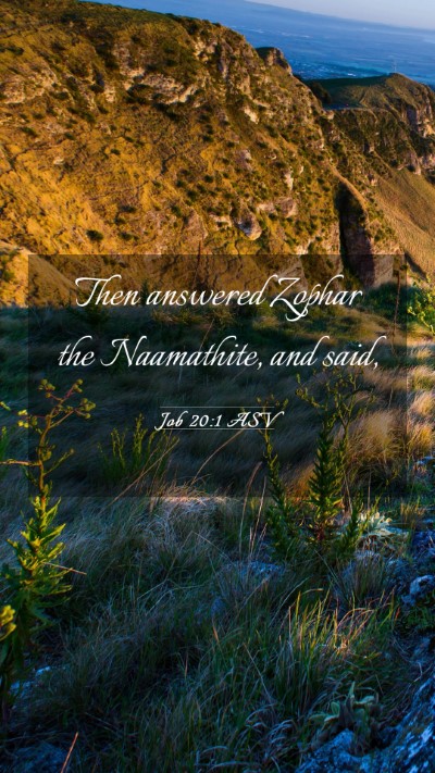 Picture 03 - Job 20:1 ASV Mobile Phone Wallpaper - Then answered Zophar the Naamathite, and - Mobile Bible Verse Wallpaper