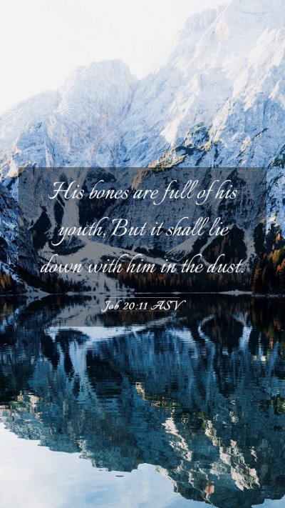 Picture 03 - Job 20:11 ASV Mobile Phone Wallpaper - His bones are full of his youth, But it shall lie - Mobile Bible Verse Wallpaper