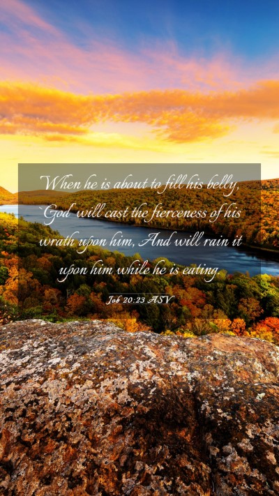 Picture 03 - Job 20:23 ASV Mobile Phone Wallpaper - When he is about to fill his belly, `God' will - Mobile Bible Verse Wallpaper
