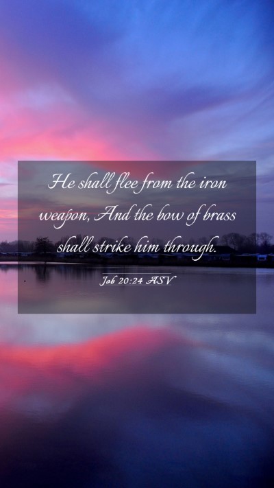 Picture 03 - Job 20:24 ASV Mobile Phone Wallpaper - He shall flee from the iron weapon, And the bow - Mobile Bible Verse Wallpaper