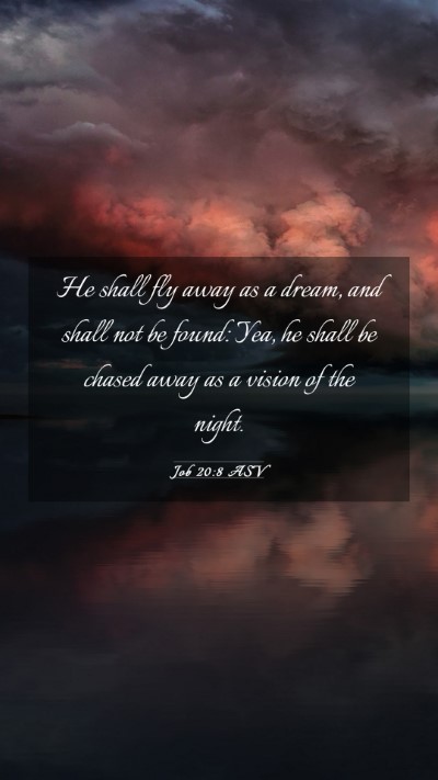Picture 03 - Job 20:8 ASV Mobile Phone Wallpaper - He shall fly away as a dream, and shall not be - Mobile Bible Verse Wallpaper