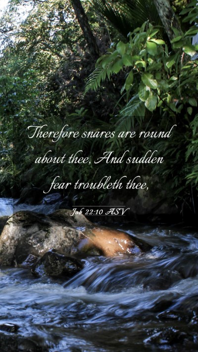 Picture 03 - Job 22:10 ASV Mobile Phone Wallpaper - Therefore snares are round about thee, And sudden - Mobile Bible Verse Wallpaper