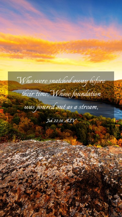 Picture 03 - Job 22:16 ASV Mobile Phone Wallpaper - Who were snatched away before their time, Whose - Mobile Bible Verse Wallpaper
