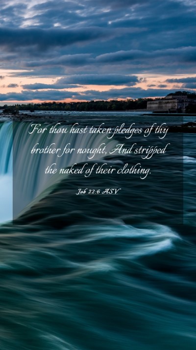 Picture 03 - Job 22:6 ASV Mobile Phone Wallpaper - For thou hast taken pledges of thy brother for - Mobile Bible Verse Wallpaper